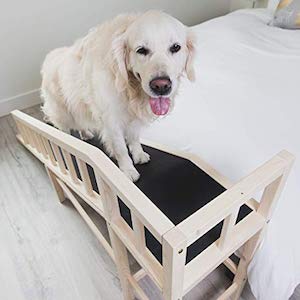 Gentle Rise Dog Bed Ramp