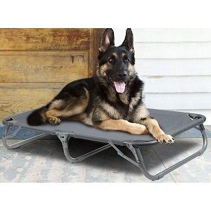 GigaTent Elevated Steel FramePet Dog Bed