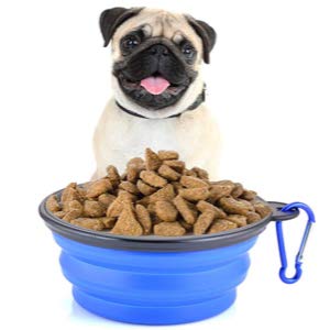 Guardians Collapsible Silicone Dog Bowl