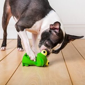 Hartz Bug Eyes Squeak Latex Dog Toy