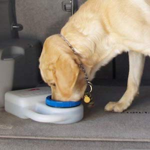 Heininger PortablePET Travel Bowl for Pets