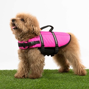 Hollypet Dog Life Jacket Adjustable Dog Lifesaver