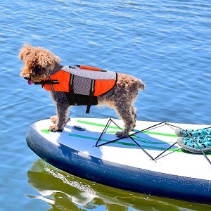 IDOMIK Dog Life Vest Jacket for Swimming kayaking