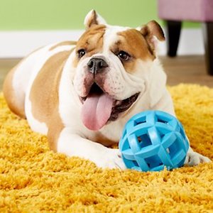 JW Pet Hol-ee Roller X Extreme Dog Toy