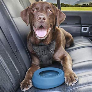 Kurgo No Spill Dog Travel Bowl