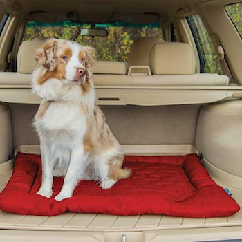 Kurgo Waterproof Outdoor Bed for Dogs