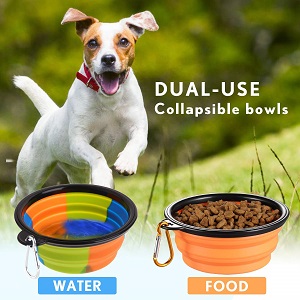 Lesotc Collapsible Silicone Dog Bowl