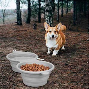 LumoLeaf Collapsible Bowls for Dogs