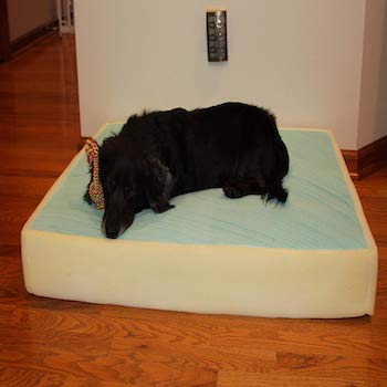 Memory Foam Dog Bed Mattress Made in USA