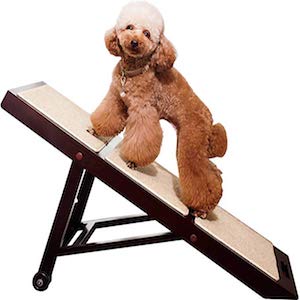 Merry Products Collapsible Dog Ramp