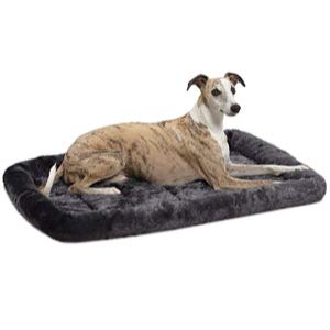 MidWest Bolster Dog Bed