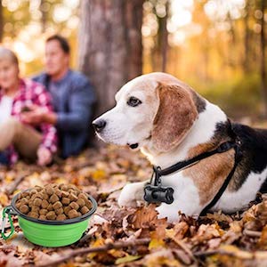 MOGOCO 2 Pack Portable Collapsible Dog Bowl