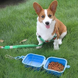 NEW YOUNG Collapsible Dog Bowl