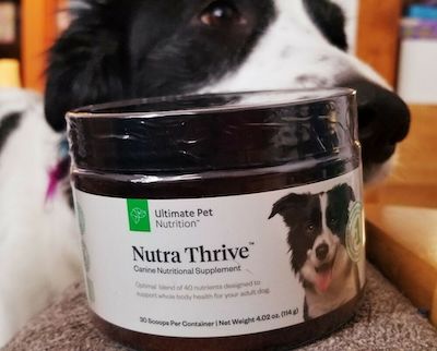 Nutra Thrive Vitamin And Mineral Blend