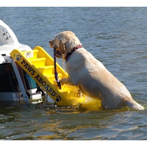 Paws Aboard Doggy Boat Ladder and Ramp