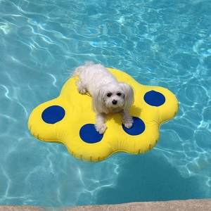 Paws Aboard Doggy Lazy Raft