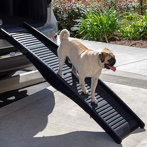 Paws & Pals Dog Ramp