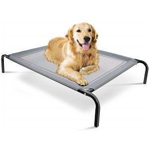 Paws & Pals Elevated Bed for Dogs