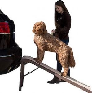 Pet Gear Free Standing Ramp for Dogs