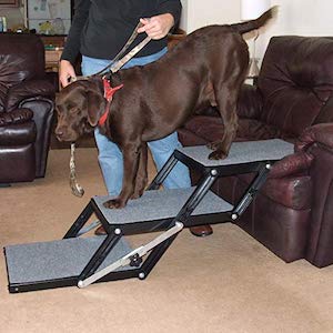 Pet Loader Light 16″ Platform