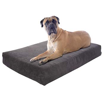 Pet Support Systems Orthopedic Dog Beds Made in the USA