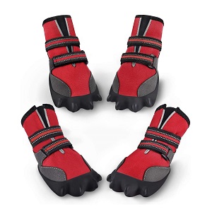 dog booties for pool