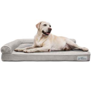 PetFusion BetterLounge Dog Bed