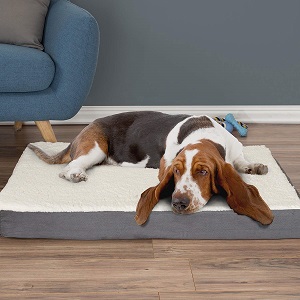 PETMAKER Orthopedic Bed for Dog
