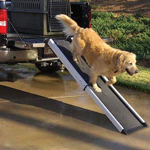 PetSafe Happy Ride Extendable Dog Ramp