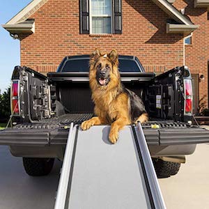 PetSafe Happy Ride Extra Long Telescoping Dog Ramp