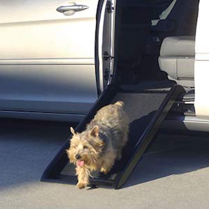 PetSafe Happy Ride Mini Dog Ramp