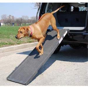 PetSTEP Original Folding Pet Ramp