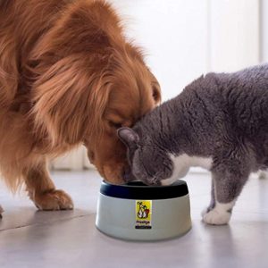 Road Refresher’s No Spill Dog Water Bowl for Dogs
