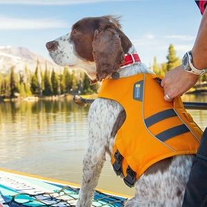 Ruffwear Float Coat Dog Life Jacket