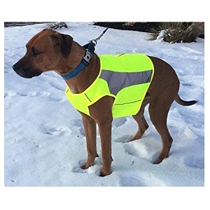 See Spot Trot Zip EV Sport High Visibility Life Jacket