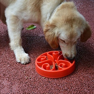 Siensync Slow Feeder Dog Bowl