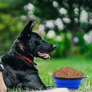 SLSON Collapsible Dog Bowl