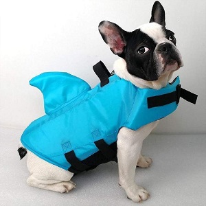 SwimWays Sea Squirts Dog Life Jacket