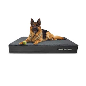 Gallery Detail: 9 Best Memory Foam Dog Beds March 2026 Reviews