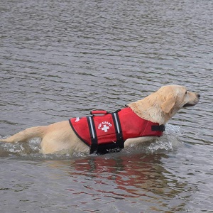 Travelin K9 Premium Red Neoprene Dog Life Jacket