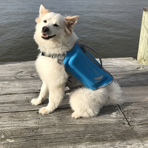 VIVAGLORY Dog Life Jackets Premium Skin-Friendly