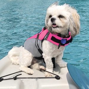 Vivaglory Dog Life Jackets with Extra Padding