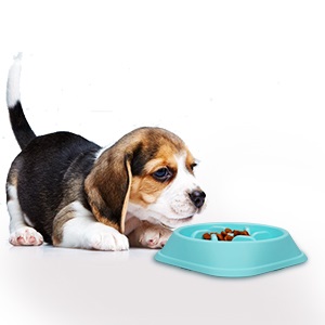 wangstar Pet Slow Feeder Bowl