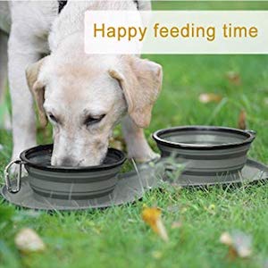 WINSEE Large Collapsible BPA Free Dog Bowl