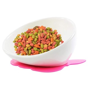 YMAXGO Ceramics Single Food Feeding Bowl