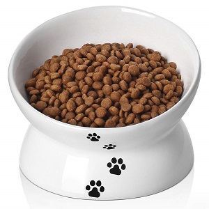 flat faced dog bowls