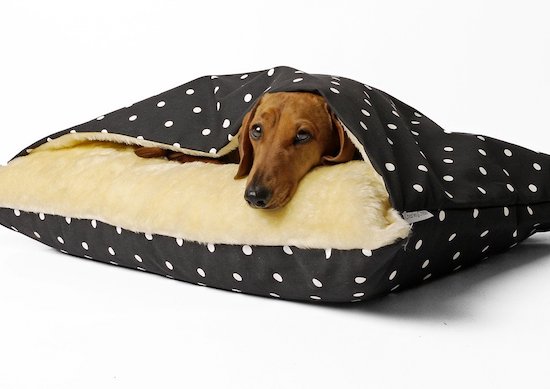 dog beds by doglovesbest
