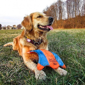 Chuckit! Flying Squirrel Toy for Dogs