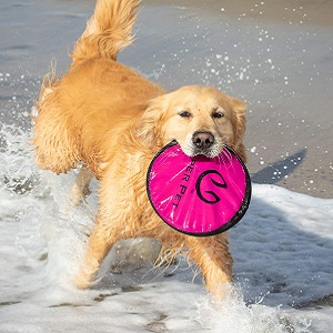 Hyper Pet Flippy Flopper Dog Frisbee