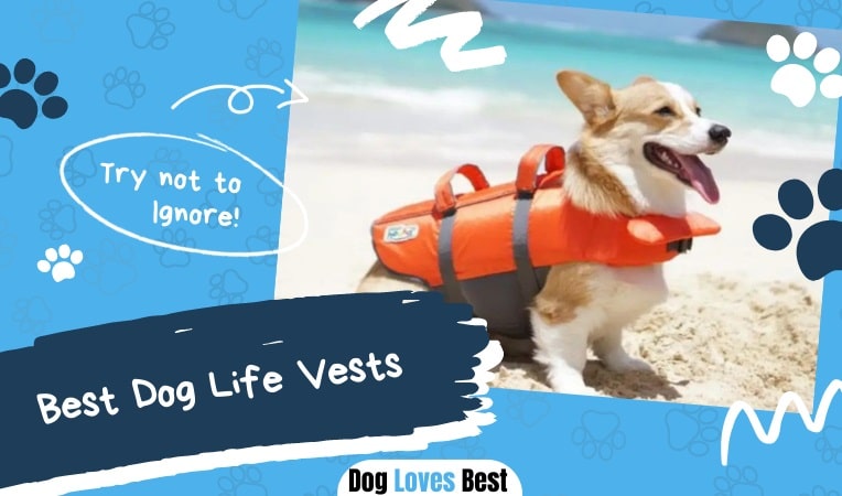 0円 2021新商品 特別価格DABLUE Dog Life Jacket Ripstop Vest Adjustable Pet Swimsuit Preserver 好評販売中
